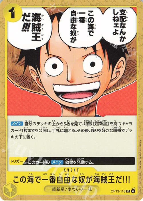 この海で一番自由な奴が海賊王だ!!!